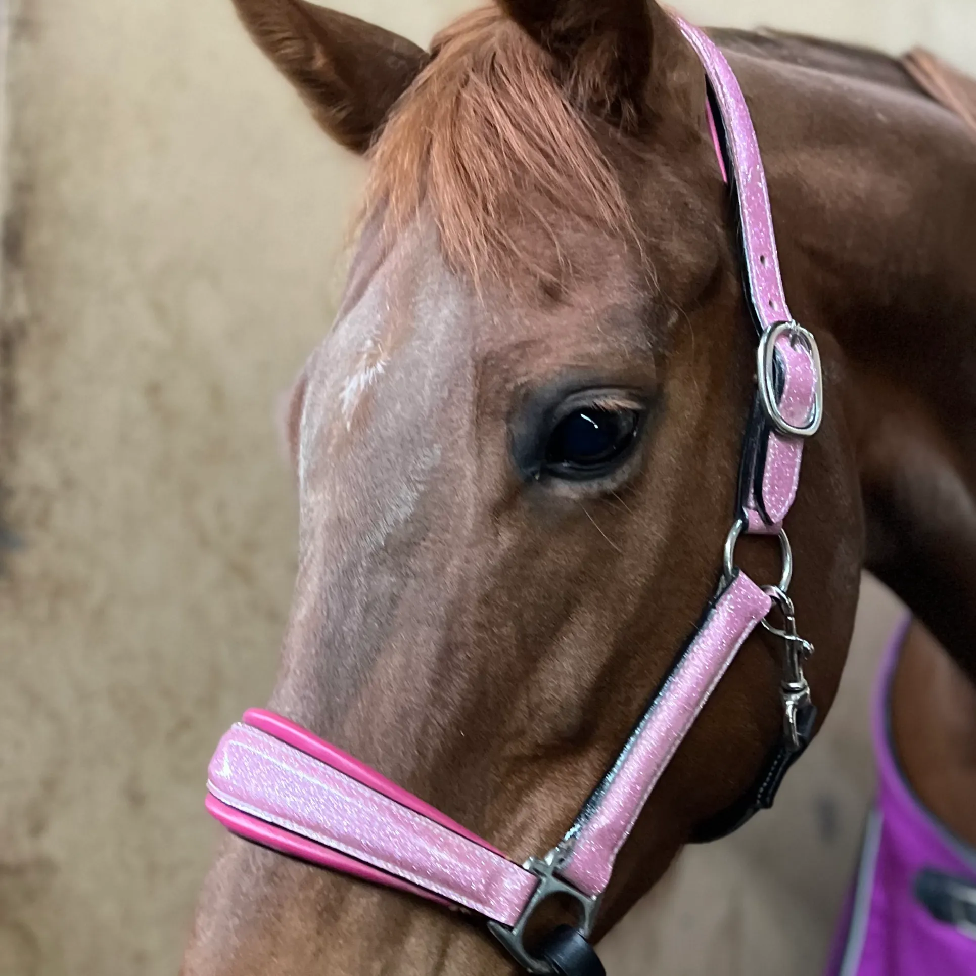 Barbie Pink Sparkle Leather Halter