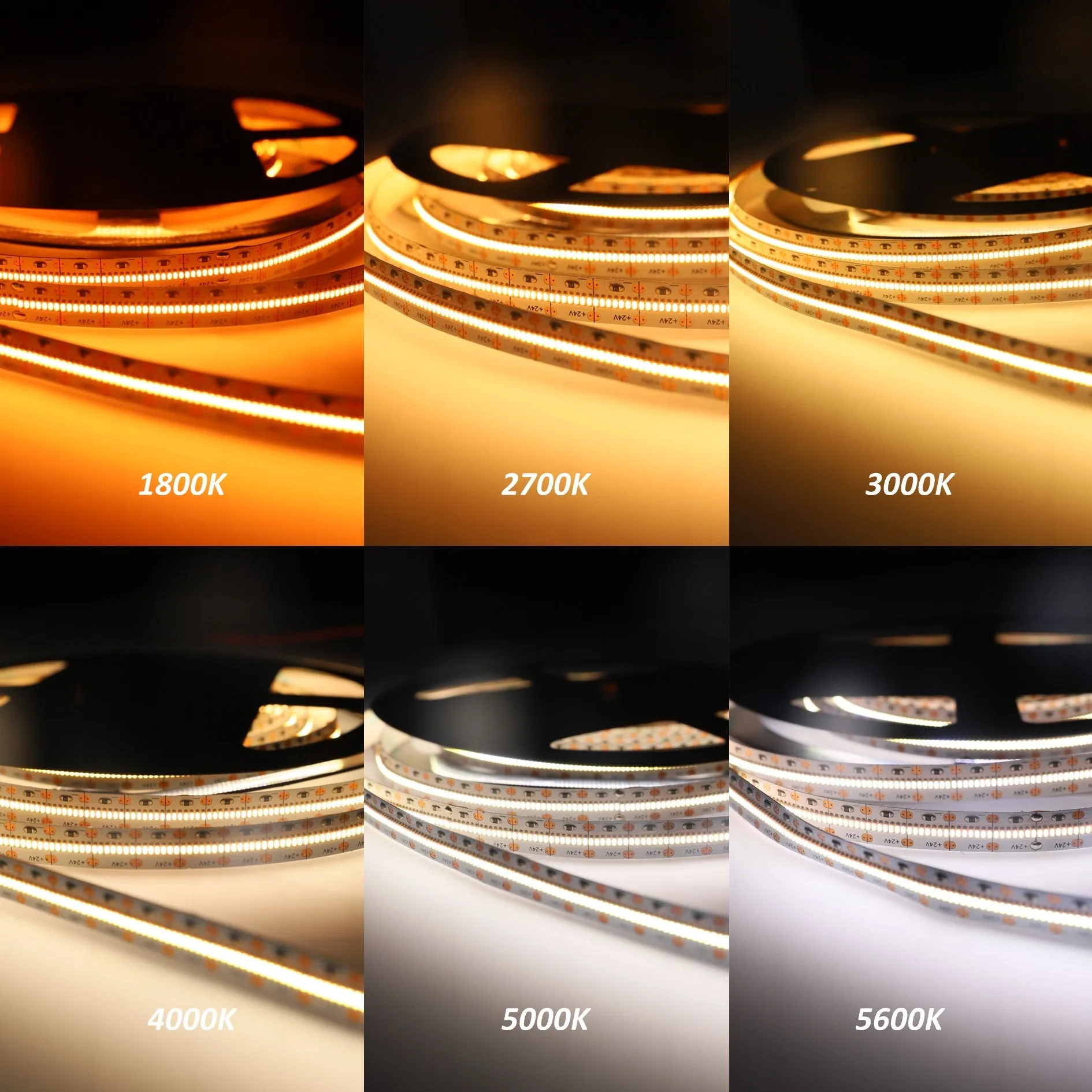 CRI-MAX CRI 95  High Brightness LED Flexible Strip 4000K 5000K - 700 LEDs/m - 5m/Reel