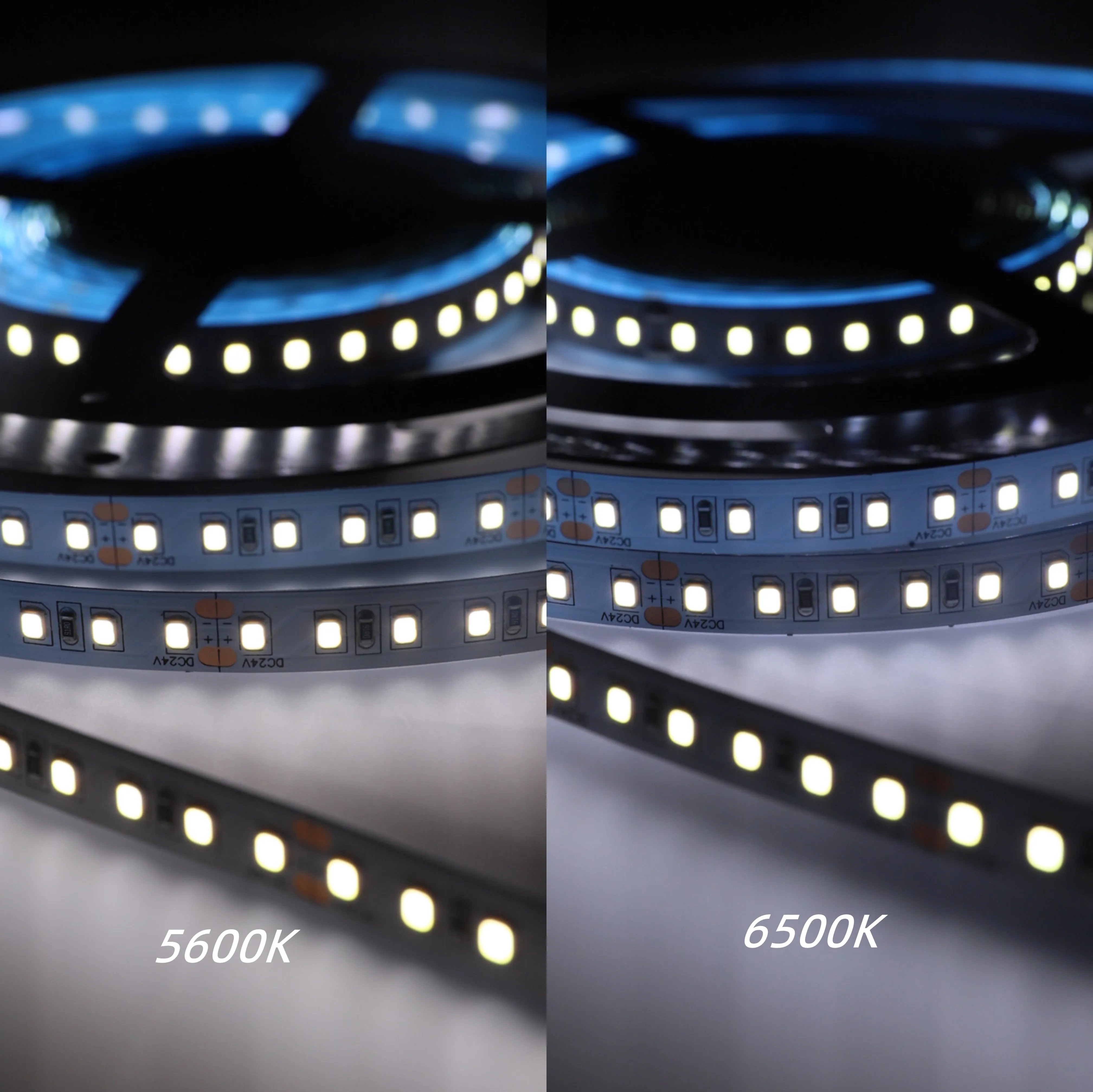 CRI-MAX CRI 95  LED Flexible Strip 5600K 6500K- 5m/Reel