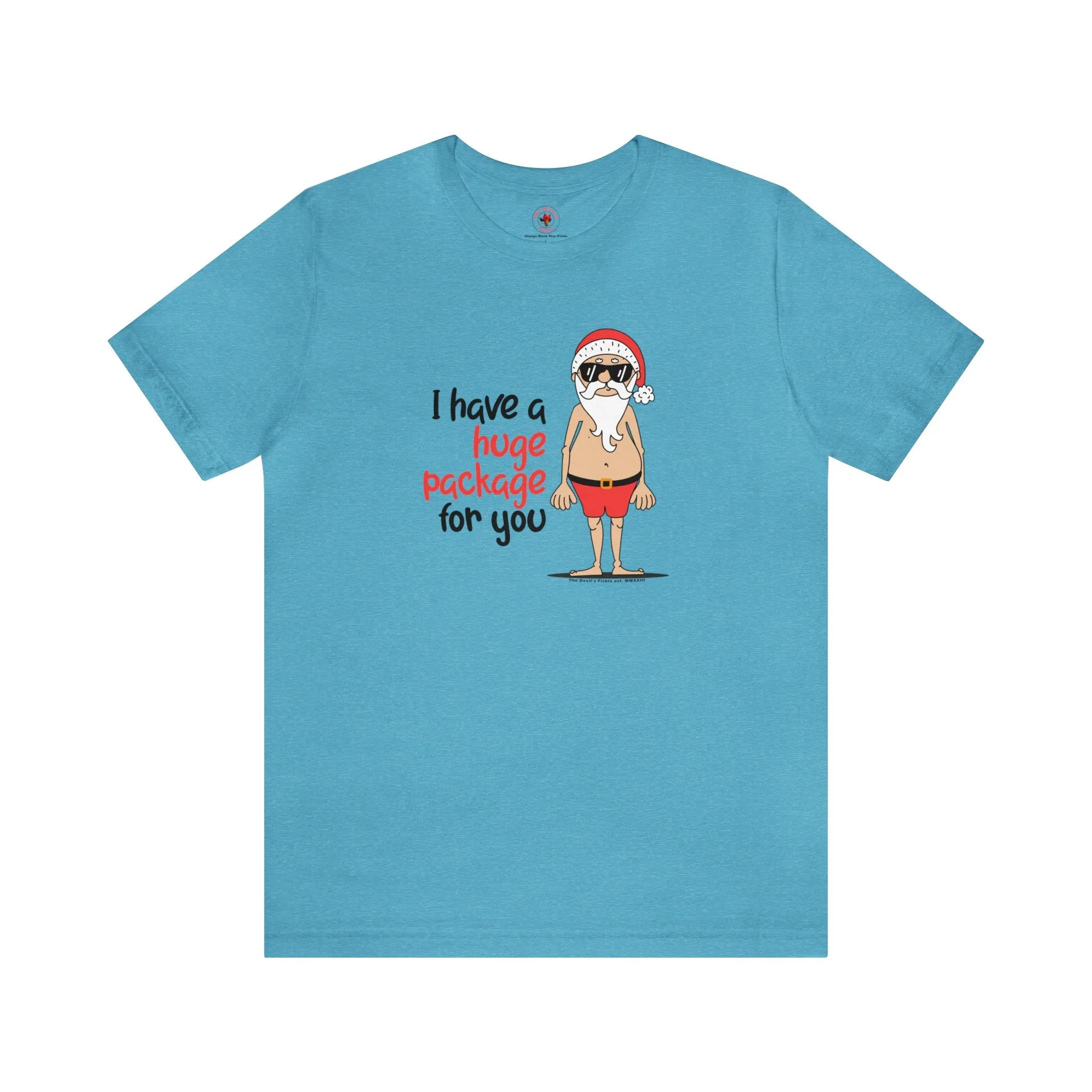 I Have A Huge Package For You T-Shirt