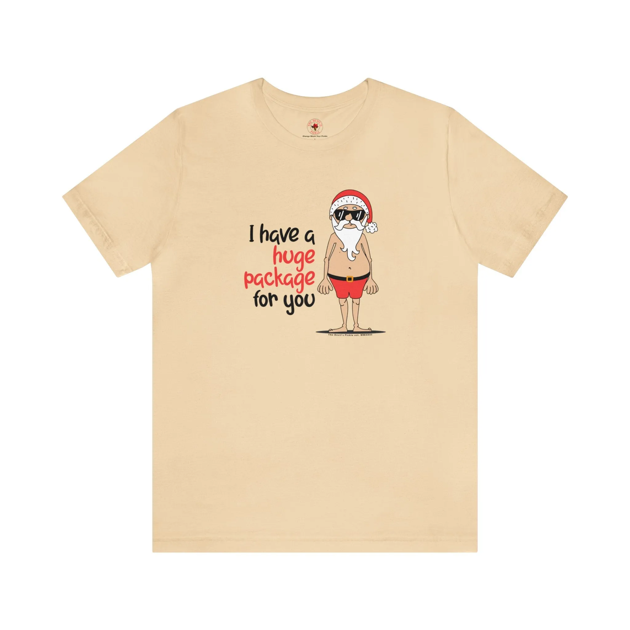 I Have A Huge Package For You T-Shirt