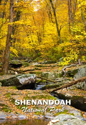 Shenandoah National Park 2"x3" Photo Magnet - Dark Hollow Falls